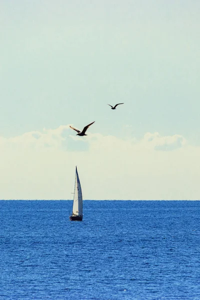 Яхта Білими Вітрилами Чайками Небі Хмарами — стокове фото