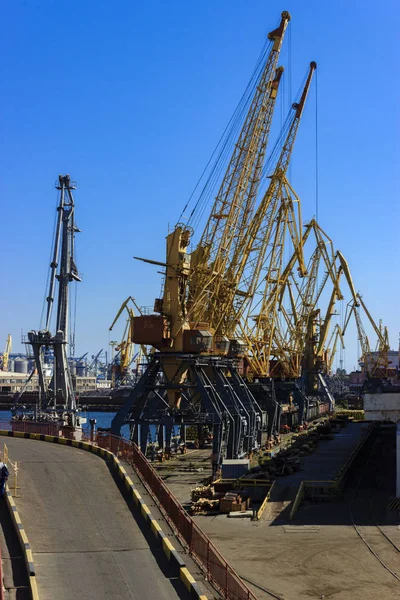 Grues Dans Port Fret — Photo