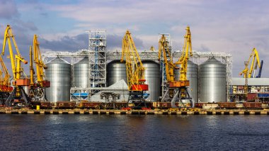 Kargo liman terminal tahıl