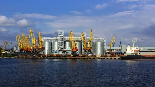Kargo liman terminal tahıl