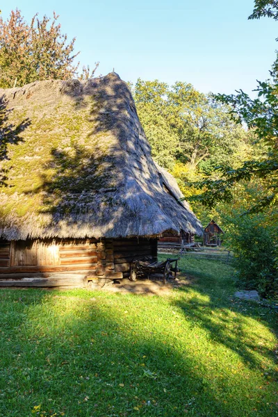Старый деревянный дом под соломенной крышей в солнечный летний день — стоковое фото