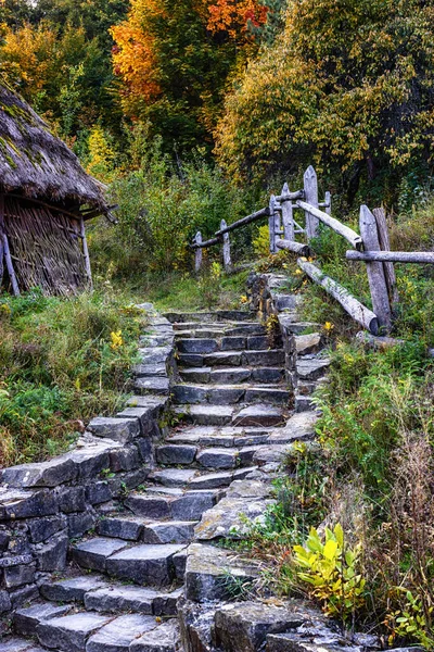 Escaleras de piedra a la colina cerca del bosque. Paisaje rural otoñal —  Fotos de Stock