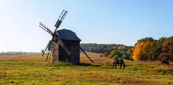 Um cavalo pastoreia num prado perto do moinho. Outono paisagem rural — Fotografia de Stock