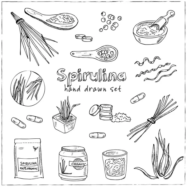 Sammlung von Spirulina: Spirulina-Algen, Tabletten und Spirulina-Pulver. Superfood handgezeichnetes Doodle-Set. Vektorillustration. isolierte Elemente. Symbolsammlung. — Stockvektor