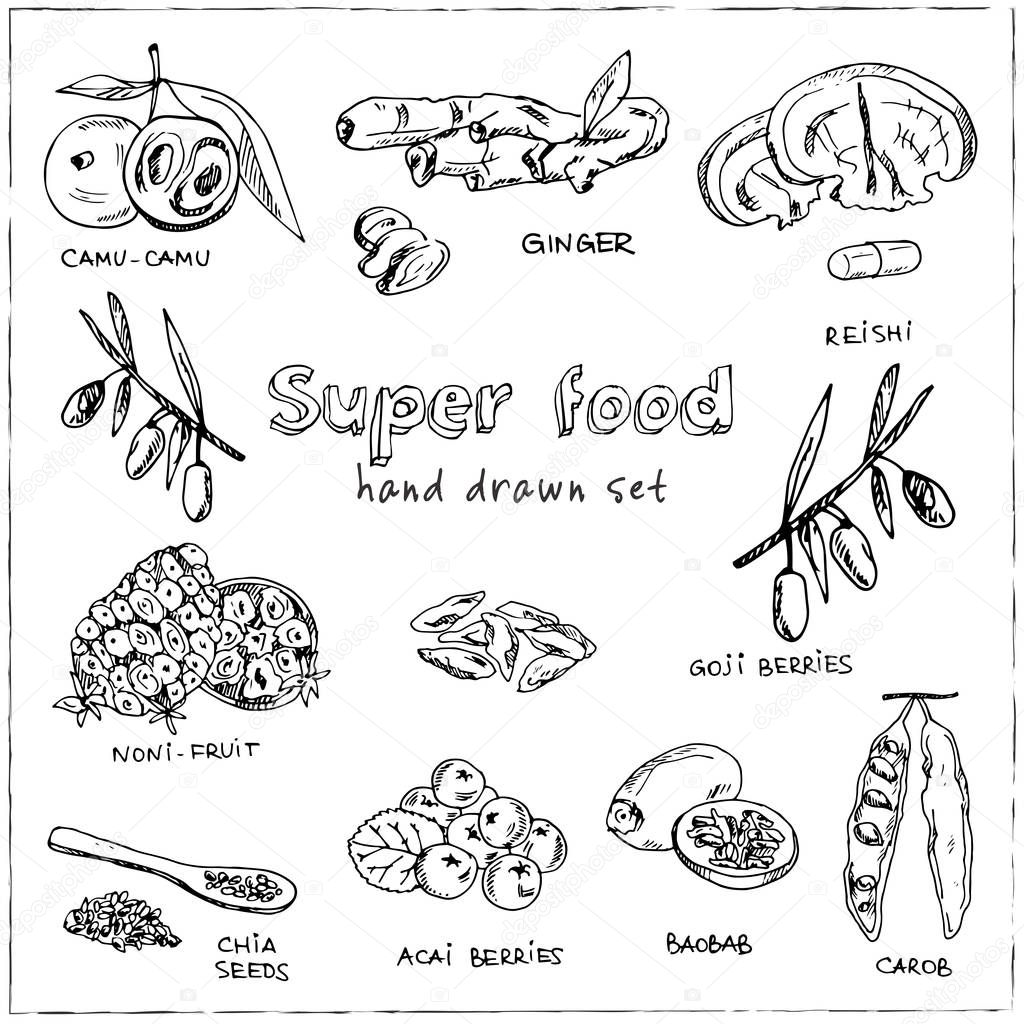 Hand drawn doodle super food. Vector illustration. Isolated elements on white background. Symbol collection.