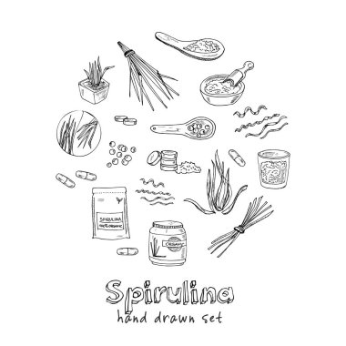 Collection of spirulina: spirulina algae, pills and spirulina powder. Superfood hand drawn doodle set. Vector illustration. Isolated elements. Symbol collection. clipart