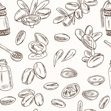 Argan'da vektör dikişsiz desenler, meyveleri ve uygulaması. Argan yağı el çizilmiş doodle seti. Vektör illüstrasyon. Yalıtılmış elemanlar. Sembol koleksiyonu.