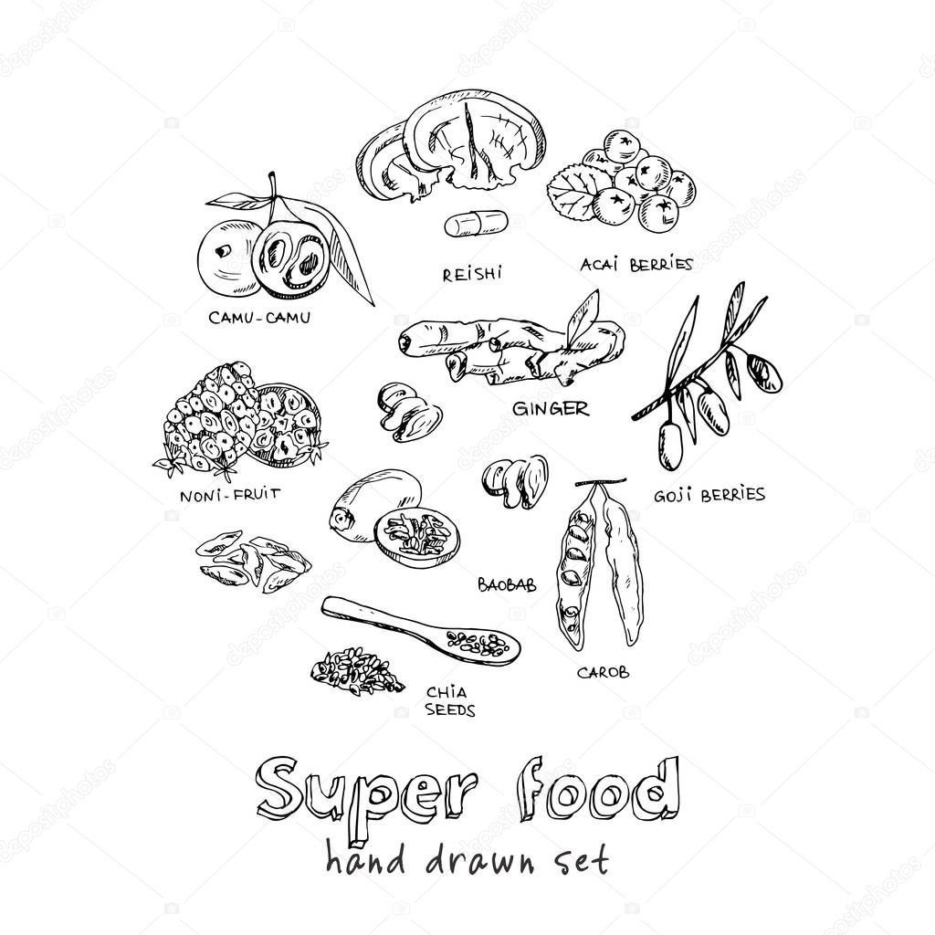 Hand drawn doodle super food. Vector illustration. Isolated elements on white background. Symbol collection.