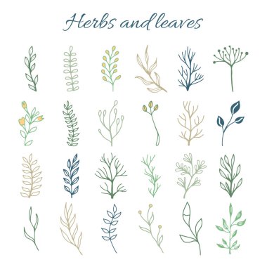 El çizimi ağaç dalları ve yaprakları 