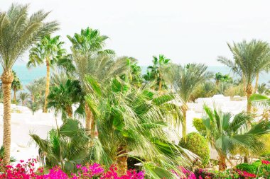 Mısır otel resort ve spa. Sharm el Sheikh, Sinai, Mısır kırmızı kıyı deniz sahil. 