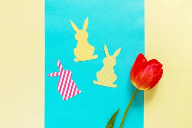 Bahar, Paskalya tavşanı mavi ve sarı zemin üzerine çiçekler. En az Paskalya kavramı. Düz yatıyordu, en iyi görünümü arka plan.