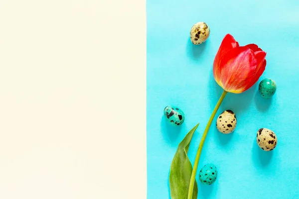 Bahar Çiçek Lale Mavi Sarı Bir Arka Plan Üzerinde Paskalya — Stok fotoğraf