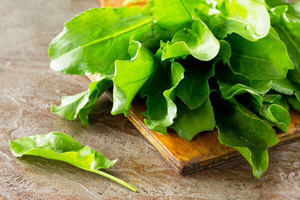 Healthy vegan food. Fresh spinach leaves over dark slate, stone or concrete background.