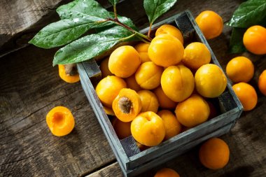 Bir tahta kutuda Hasat Rustik ahşap backgro üzerinde Olgun kayısı