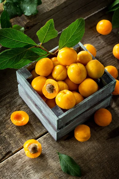 Oogst in een houten kist rijpe abrikozen op een rustieke houten blauw — Stockfoto