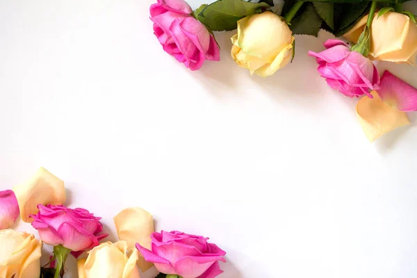 Matrimonio cornice o San Valentino, biglietto della festa della mamma. Bella rosa — Foto Stock