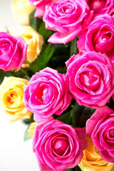 Düğün veya Sevgililer Günü, Anneler günü kartı. Güzel pembe ve y