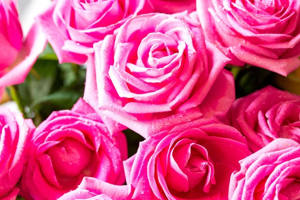 結婚式やバレンタインデー、母の日カード。美しいピンクのバラ — ストック写真