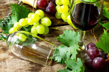 Şarap konsepti. Beyaz ve Kırmızı şarap bardak, şişe, v üzüm