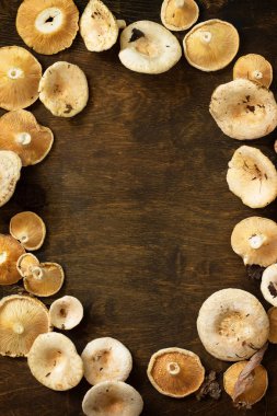 Safran lı süt kapağı. Rustik bir masada mantar hasadı. Üst vi