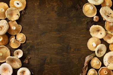 Safran lı süt kapağı. Rustik bir masada mantar hasadı. Üst vi