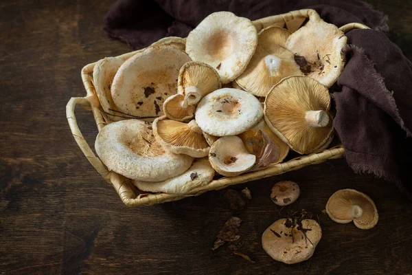 Champignon Pfifferling Über Holzhintergrund Waldpilze Pfifferling Korb Köstliche Bio Pilze — Stockfoto