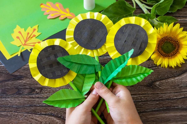 Anak Itu Memegang Bunga Kertas Matahari Atas Meja Kayu Proyek — Stok Foto