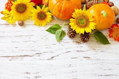Sonbahar, sonbahar, Şükran Günü konsepti. Kabaklar, ayçiçekleri, elmalar ve dökülen yapraklar kırsal ahşap masa üzerinde. Boşluğu kopyala.
