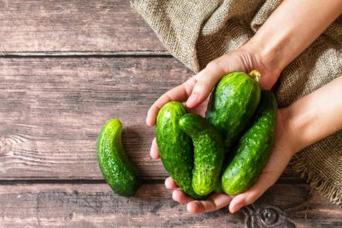 Taze sebze. Ahşap masada çirkin organik salatalıklar. En üstteki düz yerde. Boşluğu kopyala.