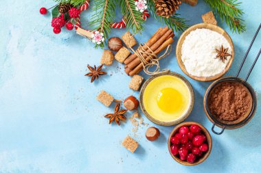 Mevsimlik pişirme kışı. Noel pişirmesi için gerekli malzemeler - kakao, kızılcık, baharat, fındık, un ve yumurta mavi taşlı arka planda. Düz yatıyordu. Yukarıdan bak. Boşluğu kopyala.