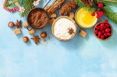 Mevsimlik pişirme kışı. Noel pişirmesi için gerekli malzemeler - kakao, kızılcık, baharat, fındık, un ve yumurta mavi taşlı arka planda. Düz yatıyordu. Yukarıdan bak. Boşluğu kopyala.