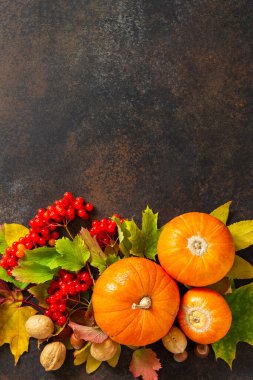 Mevsimlik kavram geçmişi. Sonbahar arka planında sonbahar akçaağaç yaprakları, balkabağı, fındık ve böğürtlen var. Üst görünüm düz arkaplan ve kopyalama alanı.