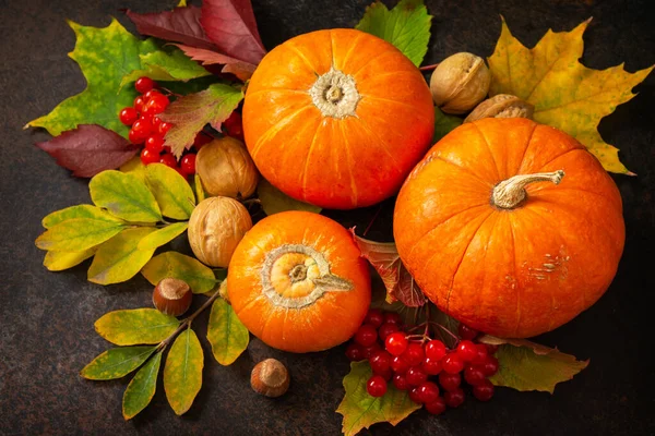 Fondo Concepto Estacional Fondo Otoño Con Hojas Arce Otoño Calabaza —  Fotos de Stock