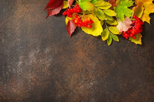 Seasonal Background Autumn Background Maple Leaves Berries Dark Slate Background — Stock Photo, Image