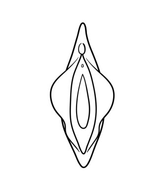 Vagina illustration, a hand drawn vector illustration of a female reproductive system.