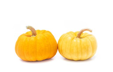 Kabak ile kök üzerinde izole beyaz arka plan Cadılar Bayramı süslü festival dekorasyon için hazır