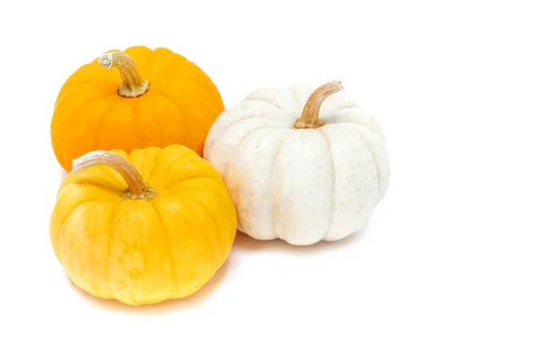 Zucca Con Gambo Isolato Sfondo Bianco Pronto Halloween Fantasia Festa — Foto Stock