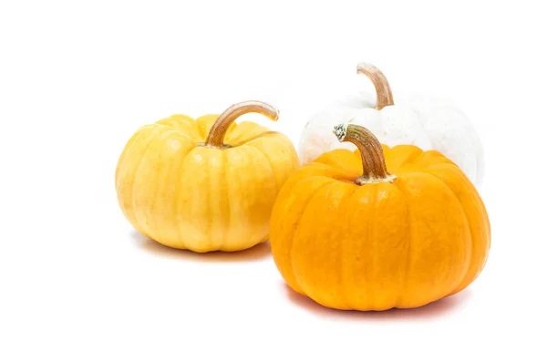 Kürbis Mit Stiel Isoliert Auf Weißem Hintergrund Bereit Für Halloween — Stockfoto