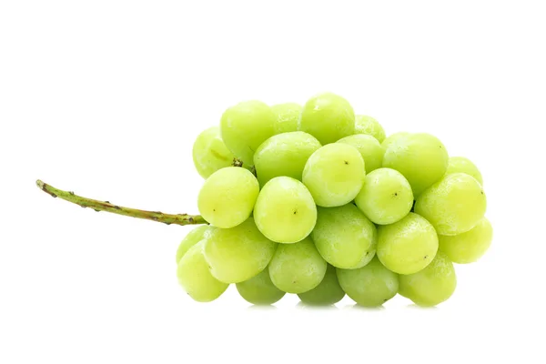 Weiße Trauben Frische Früchte Mit Stiel Isoliert Auf Weißem Hintergrund — Stockfoto
