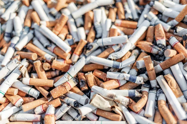 Sigara saplama veya çok seçici odak, dünya Hayır tütün gün kavramı ile tütün izmaritleri kullanılan