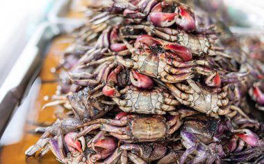 alan Yengeç Balık sos turşusu