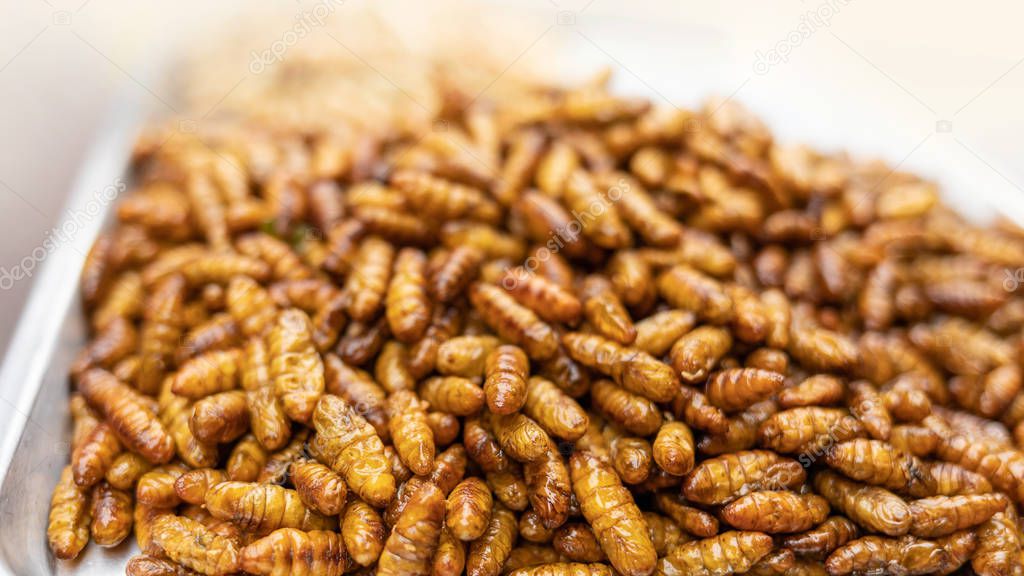 crispy silkworm alternative snack