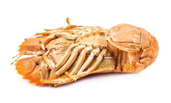 Steamed flathead lobster isolated on white background — Stock Photo, Image