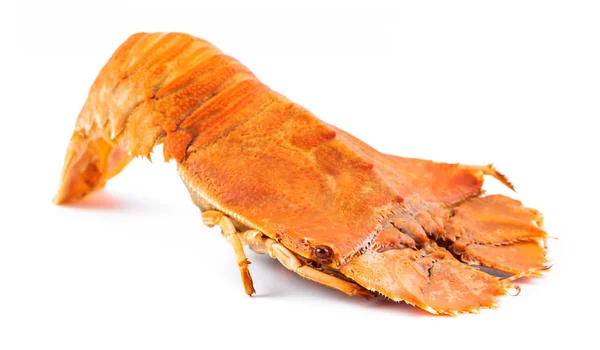 Steamed flathead lobster isolated on white background — Stock Photo, Image