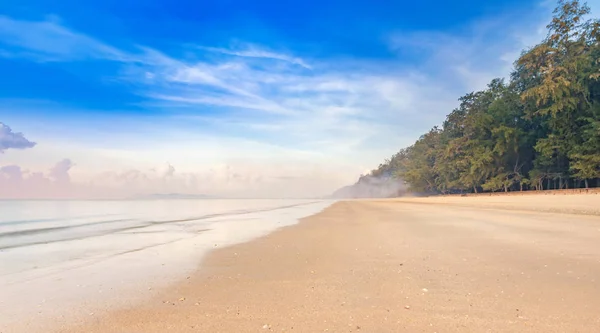 Bela manhã nebulosa natural na praia calma com céu nublado e pinery — Fotografia de Stock