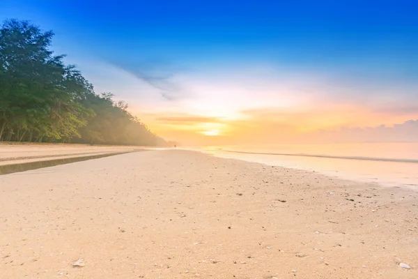 Beau lever de soleil naturel à la plage calme avec ciel nuageux et pinède — Photo