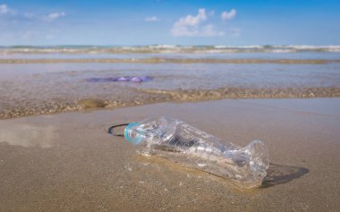 Plastik şişe ya da sahildeki çöp.