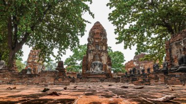 Ayutthaya ilinin Wat Mahathat Ayutthaya Tarihi Parkı 'ndaki antik Buda Heykeli ve Arkeoloji alanı. UNESCO Dünya Mirası