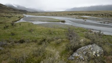 Tasman nehir ve bahar bitki örtüsü, Mount Cook Valley, Yeni Zelanda