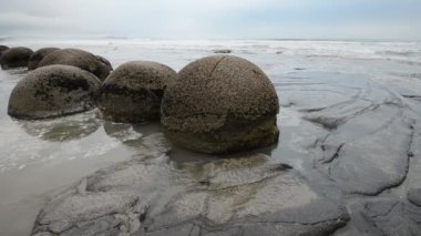Pasifik Okyanusu dalgaları etkileyici Moeraki boulders